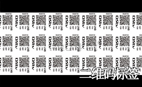 98858vip威尼斯游戏A-1喷码平台一体机Technical Parameters